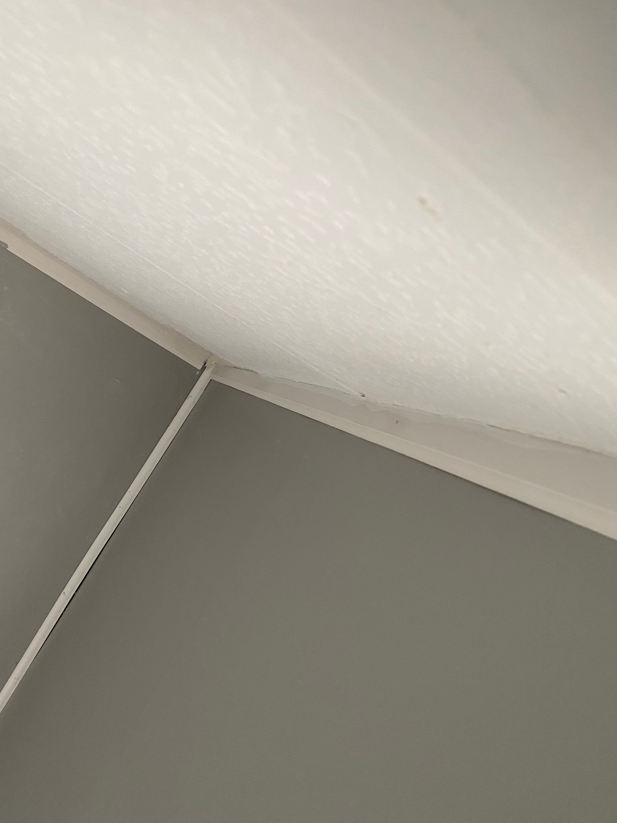 Project in Marlboro, MA by Pristine Sheen Painting 