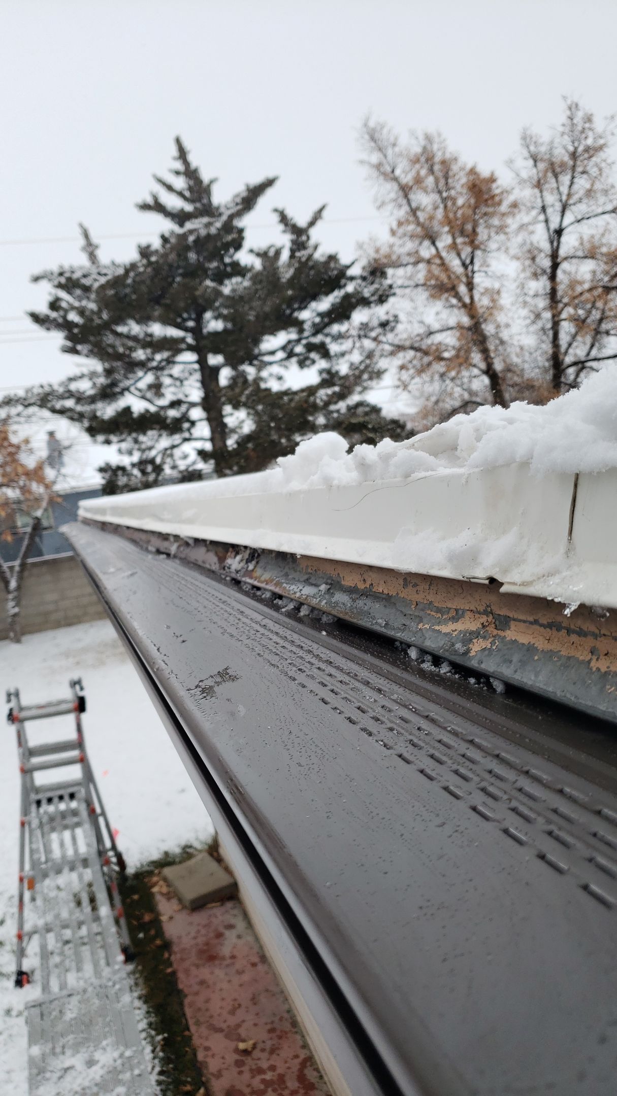 Project in Orem by Emerald Gotcha Gutters 