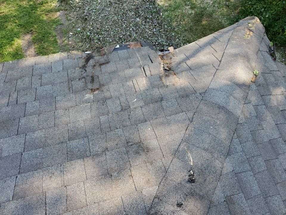 Storm Damaged Tree Removal  by Mike Jones & Sons Tree Service LLC 