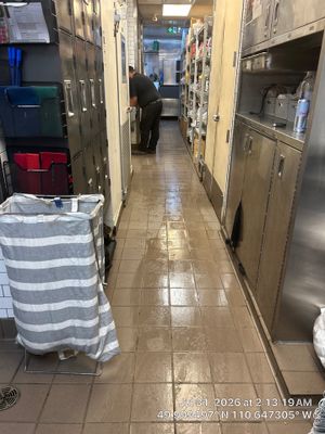 Commercial Plumbing and Drain Line Cleaning in Medicine Hat