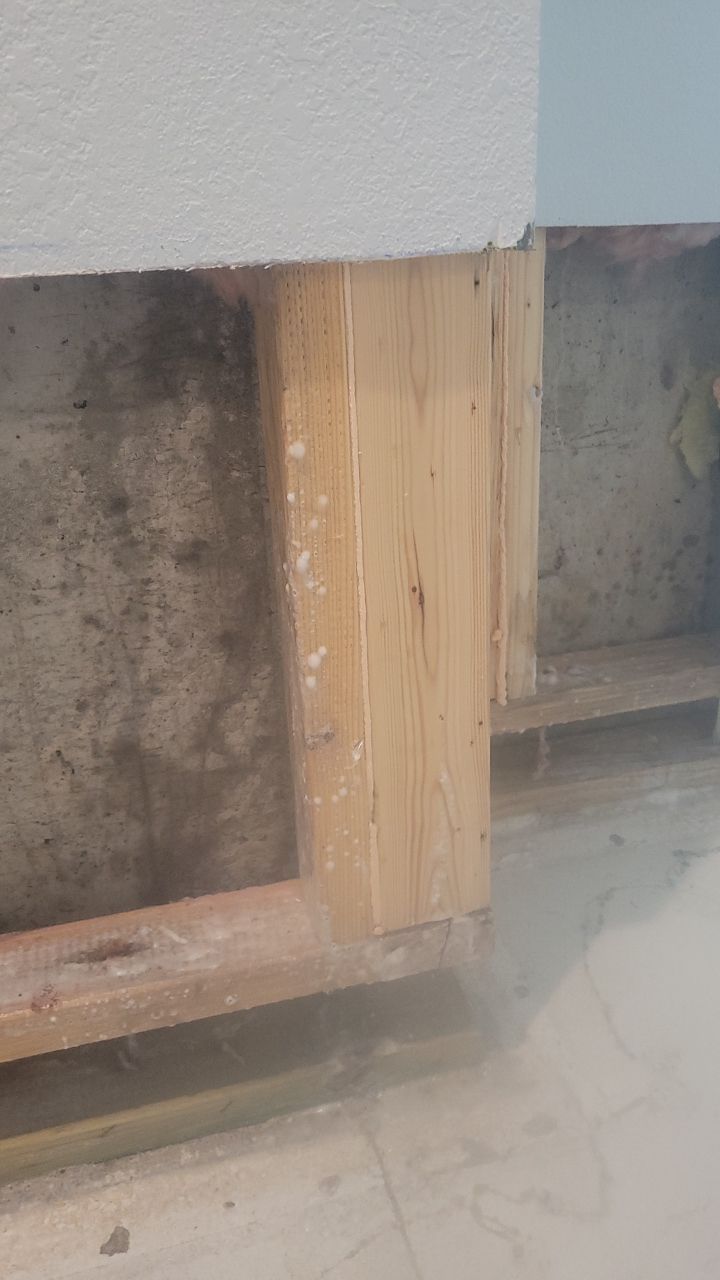 Mold Remediation  by Accountable Home Services