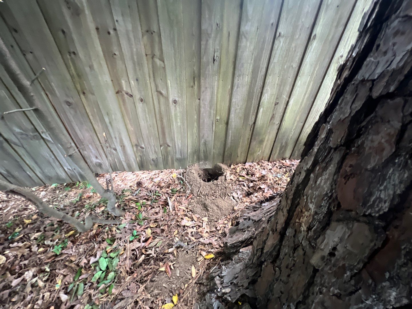 Indian Valley - Composite Deck Resurface by Pillar and Pine