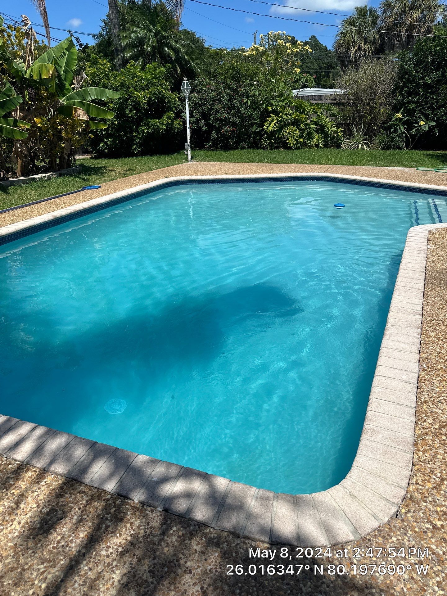 Project in Hollywood by Luxury MPM Services