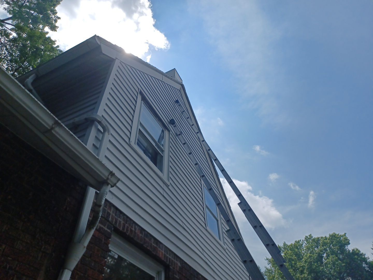 Mark Scanlan by Silver Leaf Contracting 