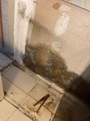 Mold remediation and rebuild of kitchen and living areas