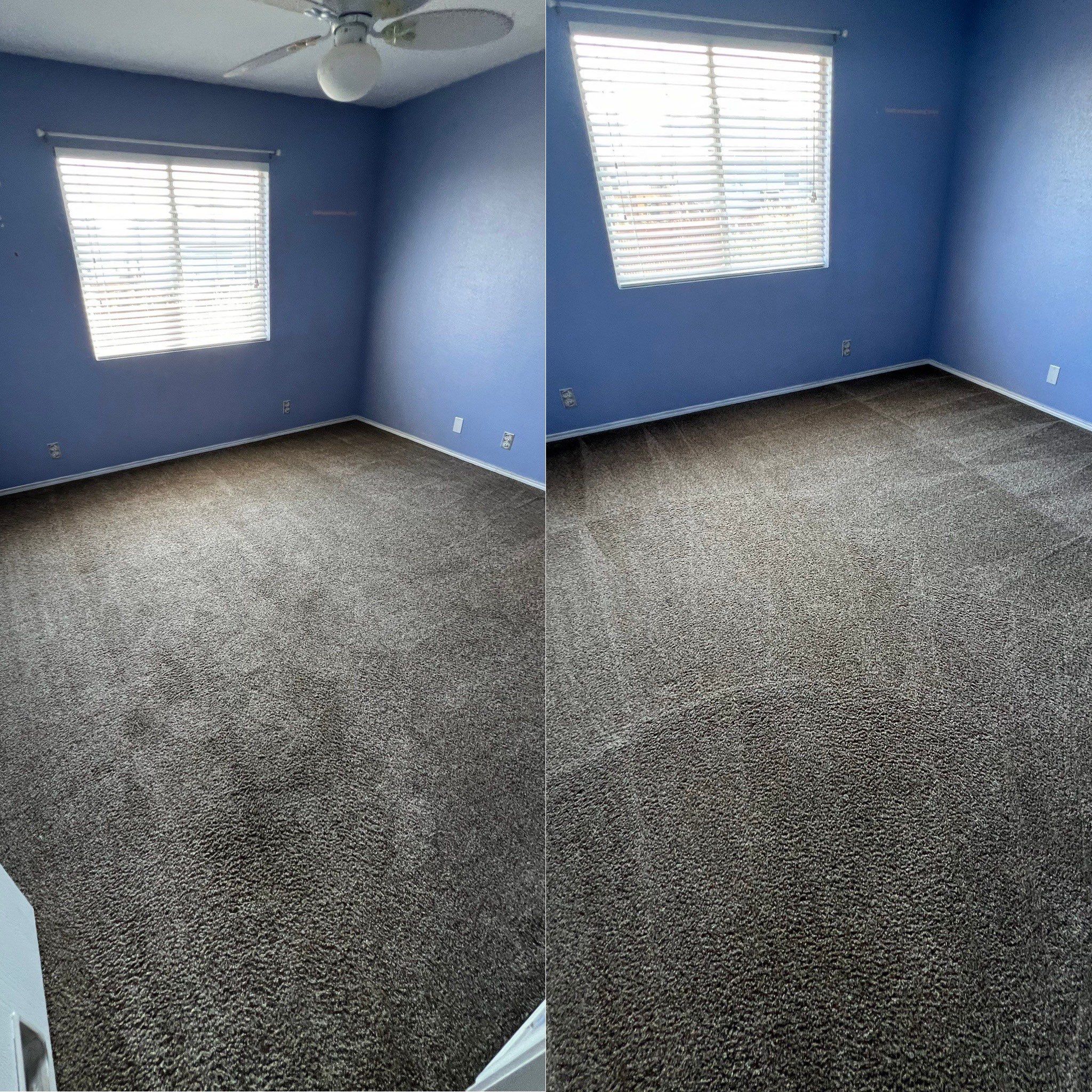 the service being done is carpet cleaning in a room with freshly cleaned carpet showing improved appearance and cleanliness