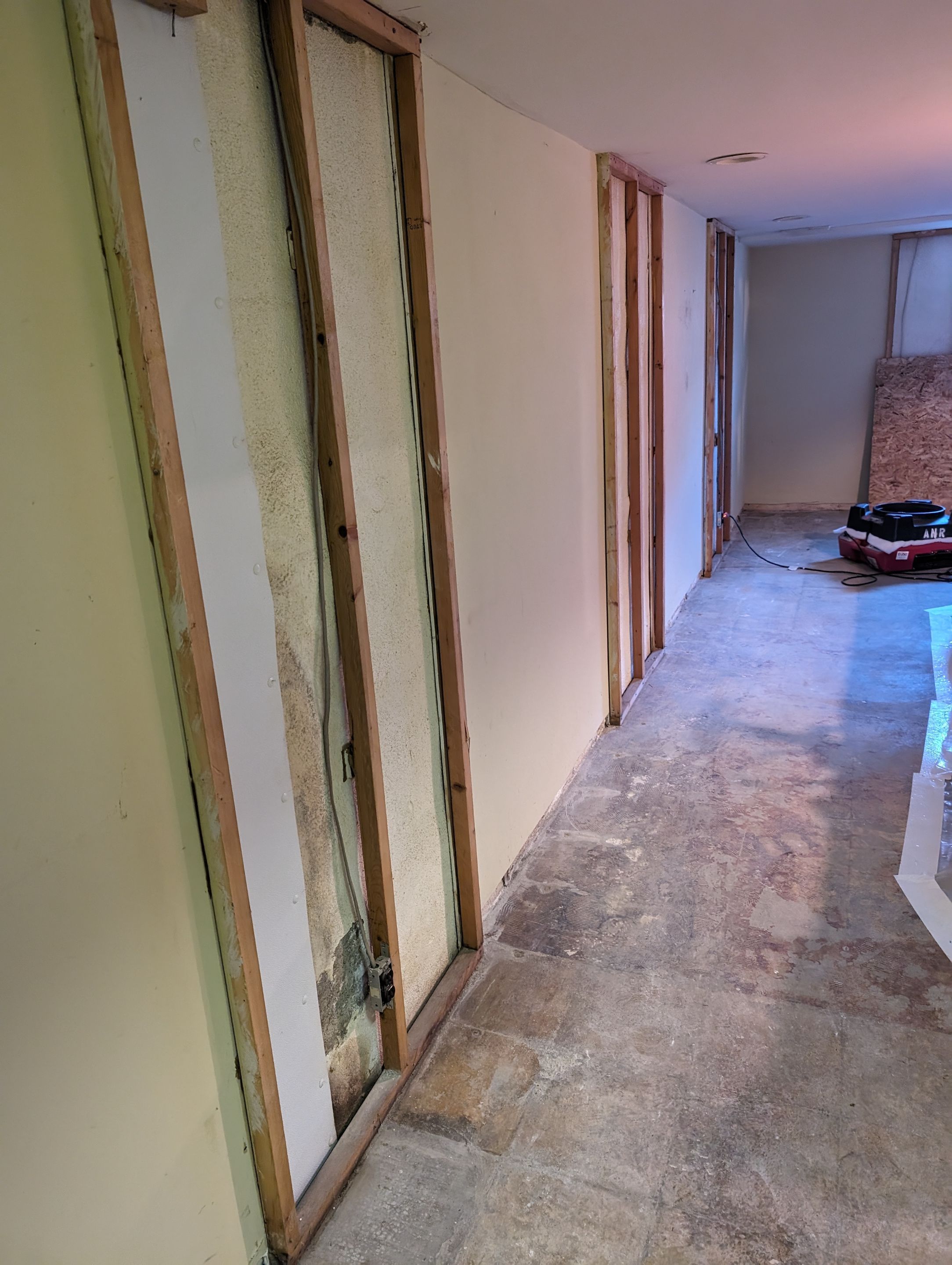 Interior Mold Remediation in Louisville, KY by ANR Restoration