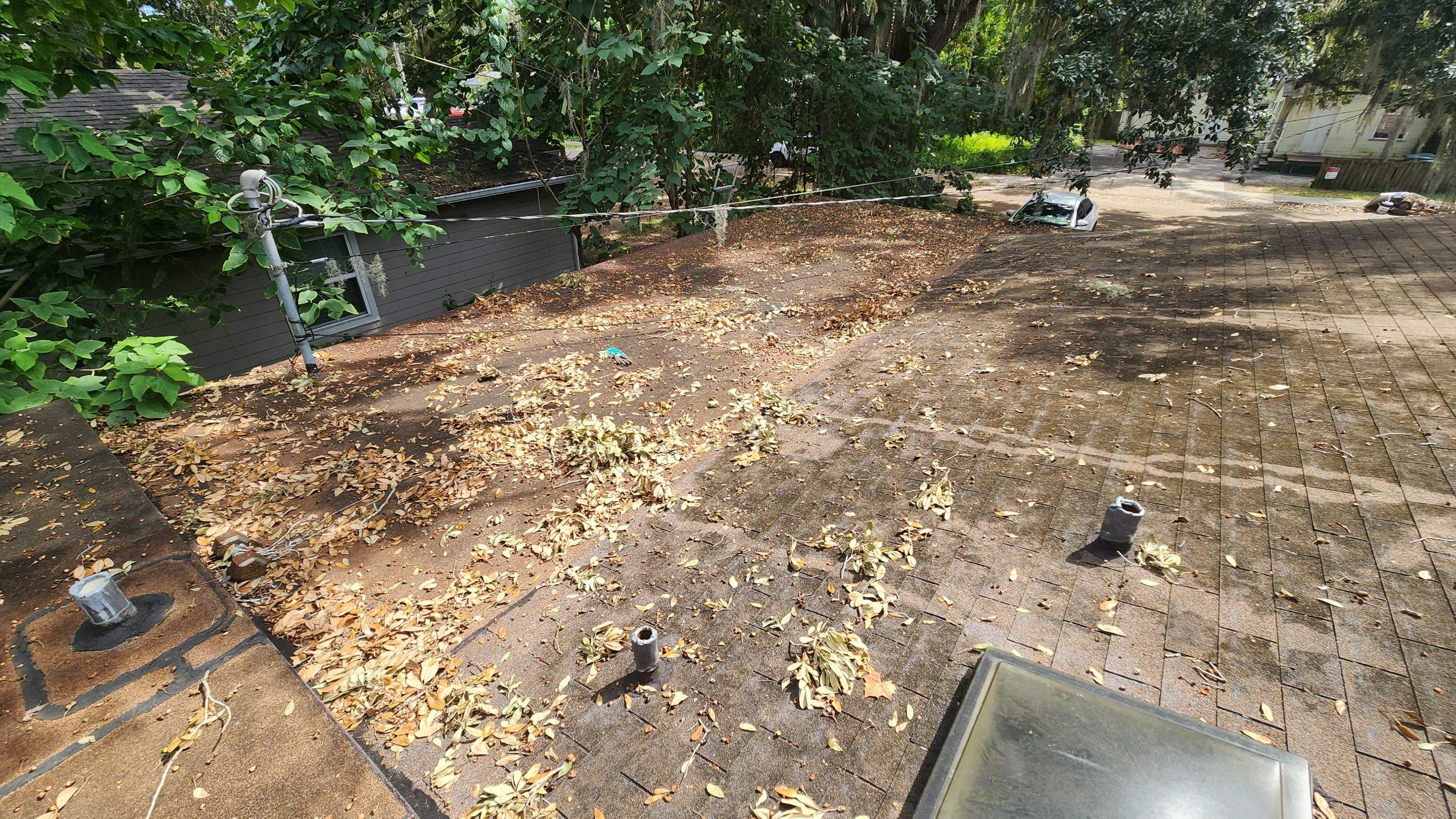 Tree Damage Claim in Orlando by FLAPA & KeyStone