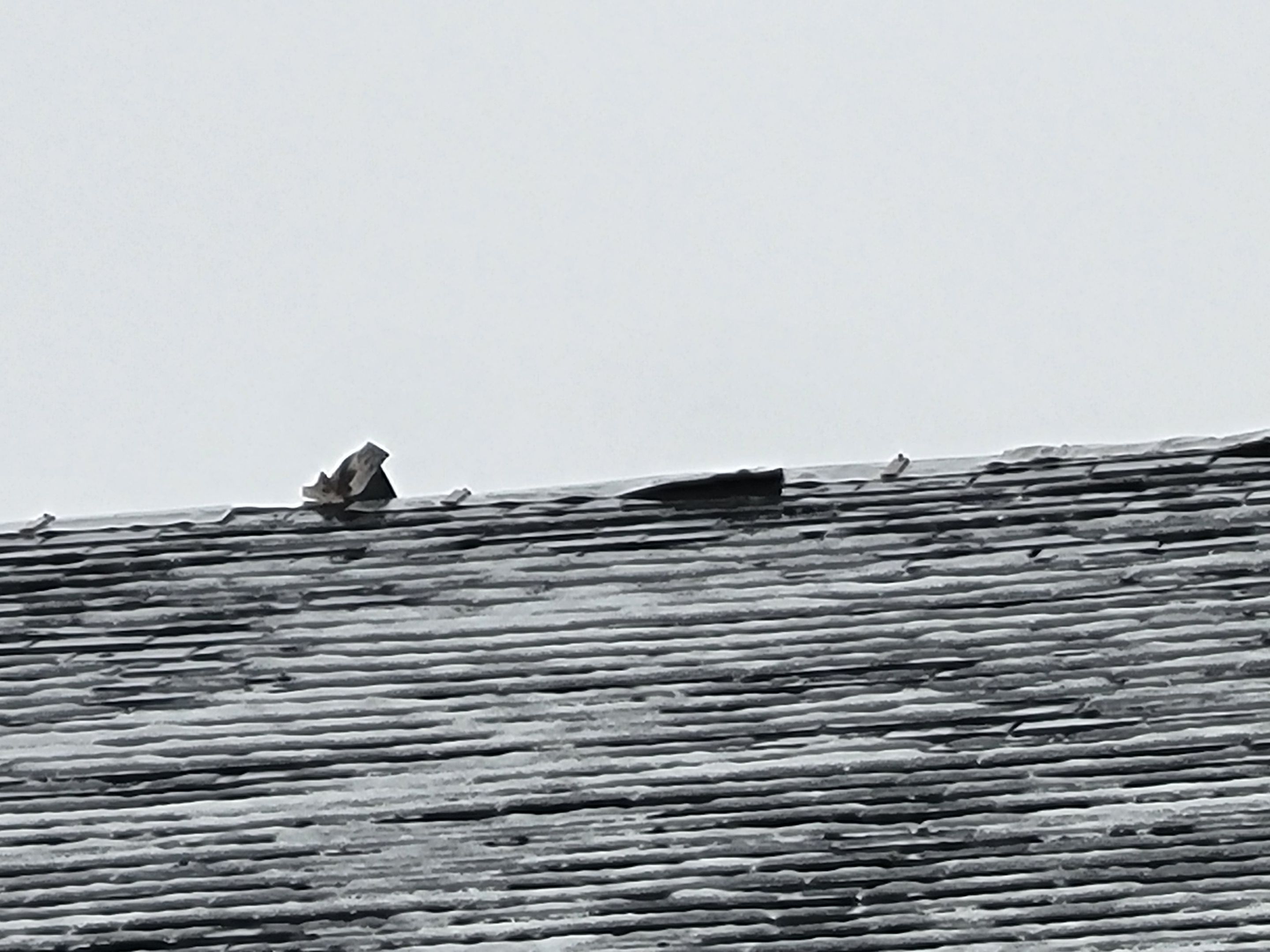 Slate Roof Repair using All Natrual Slate Tiles by The B.A.R Roofing
