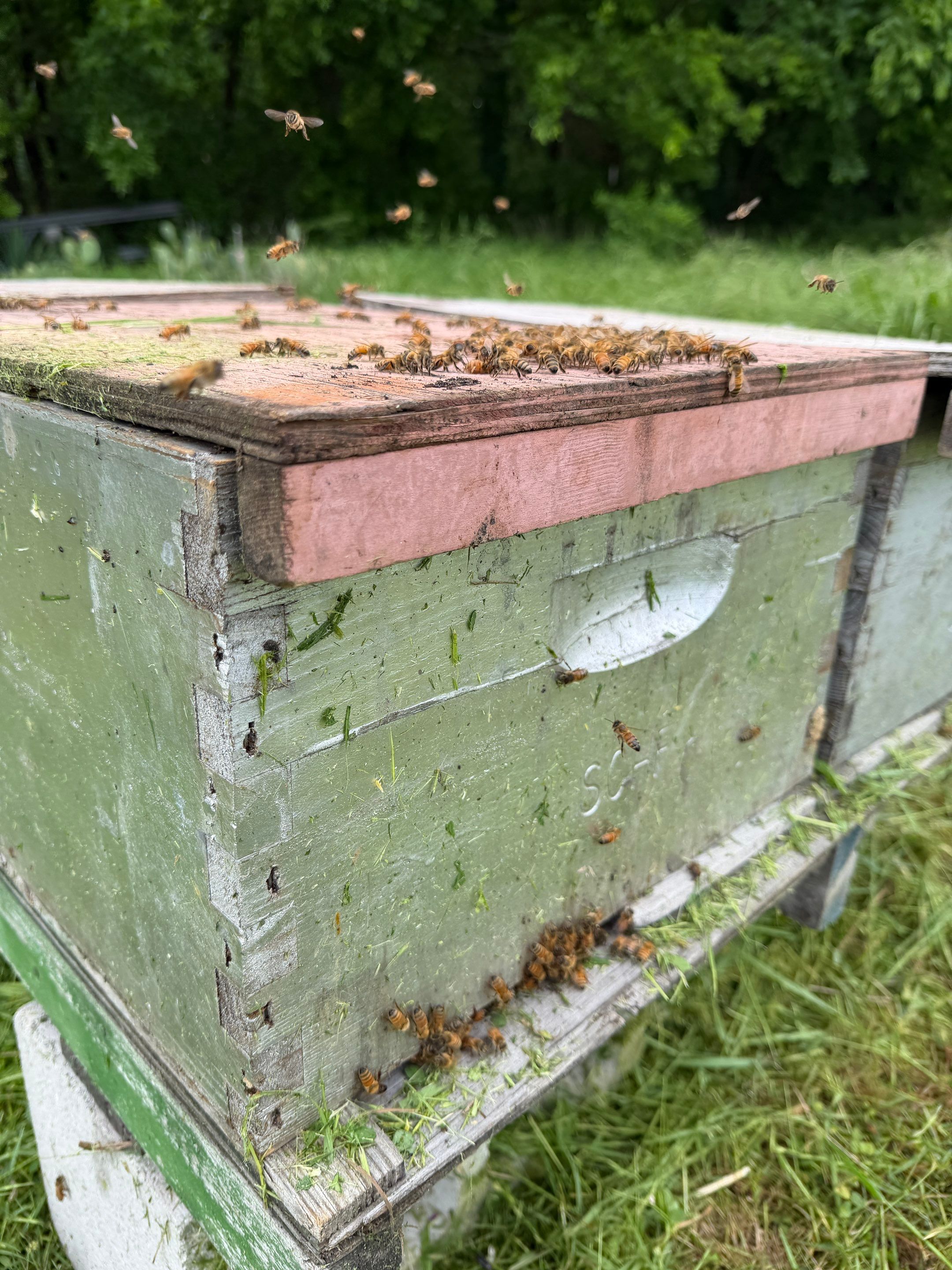 Special Use Valuation in McClendon-Chisolm by Rockwall Honey Bee Company