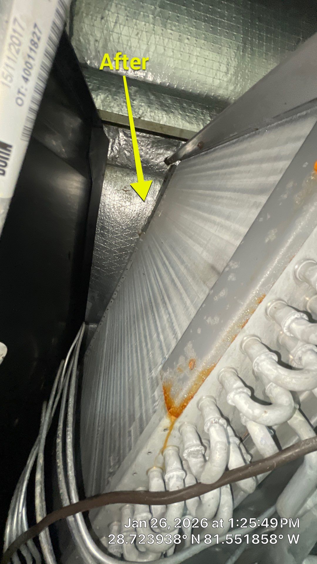 Air Duct Cleaning in Apopka by Hygienic Air, Inc