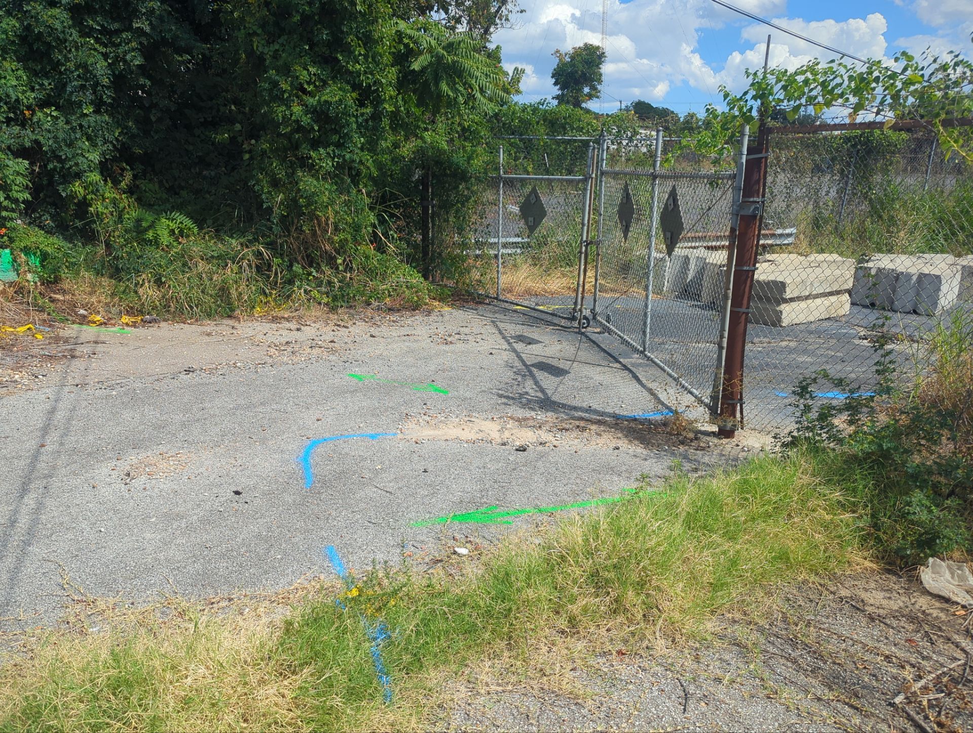 Utility Locate and Utility Mapping for Survey by Alsip Locating Service, LLC