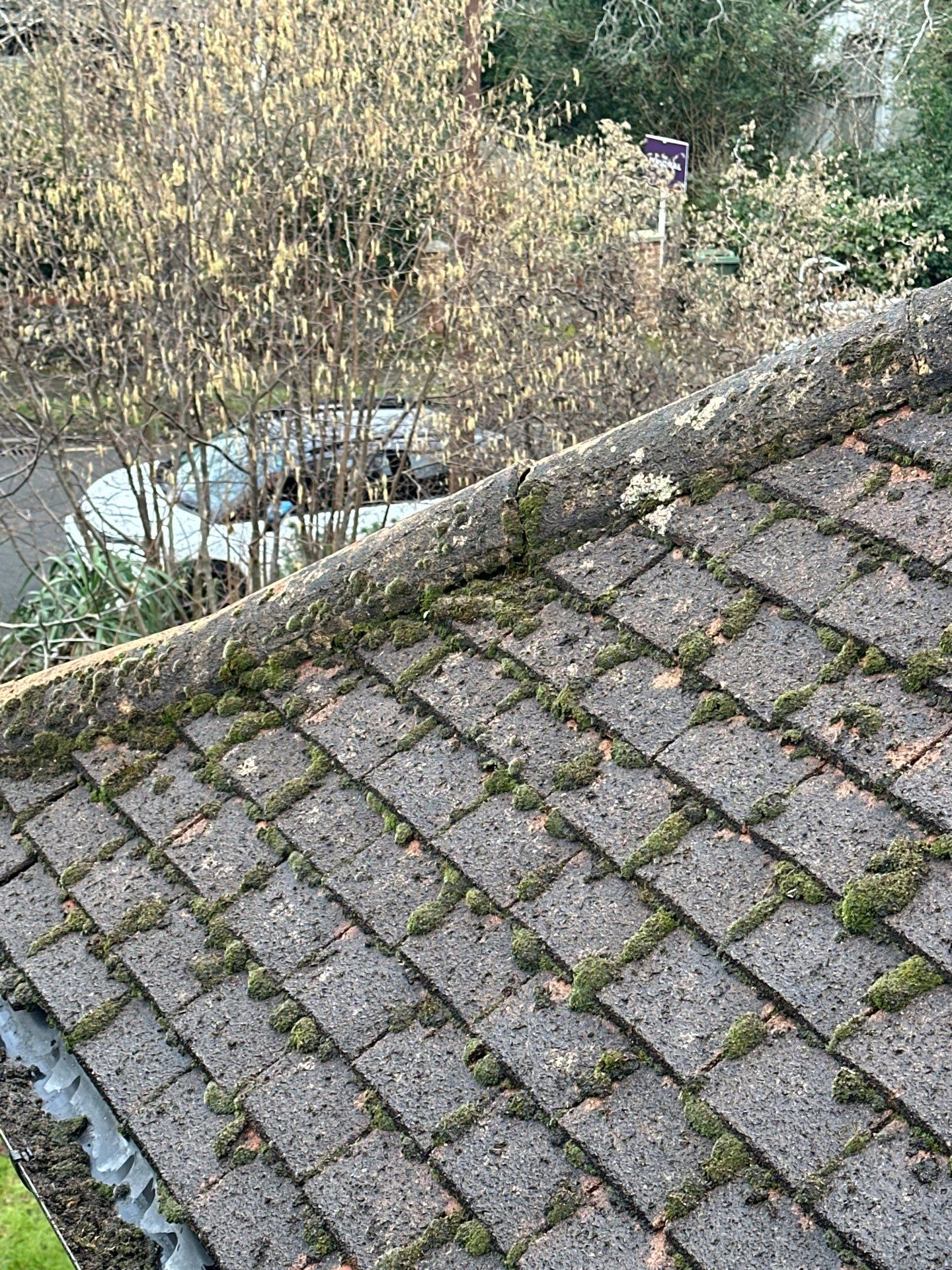 Roof And Driveway Clean by Ges Exterior Cleaning ltd