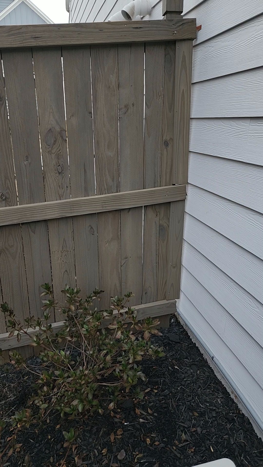 Fence Staining using Cape Cod Grey by SSE by Titans of Timber Fence & Stain