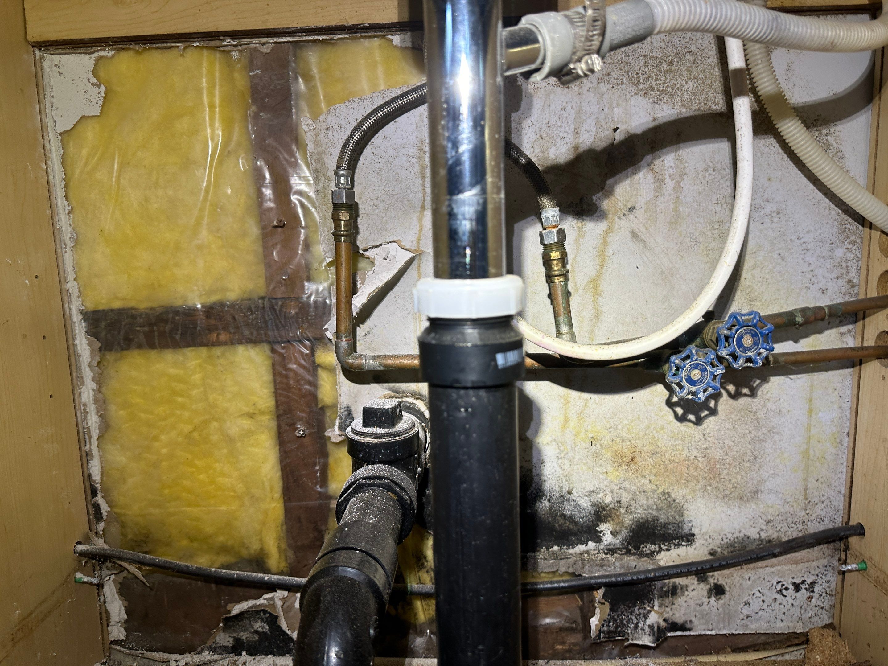 Full Home Remediation by Home Guarantee, LLC