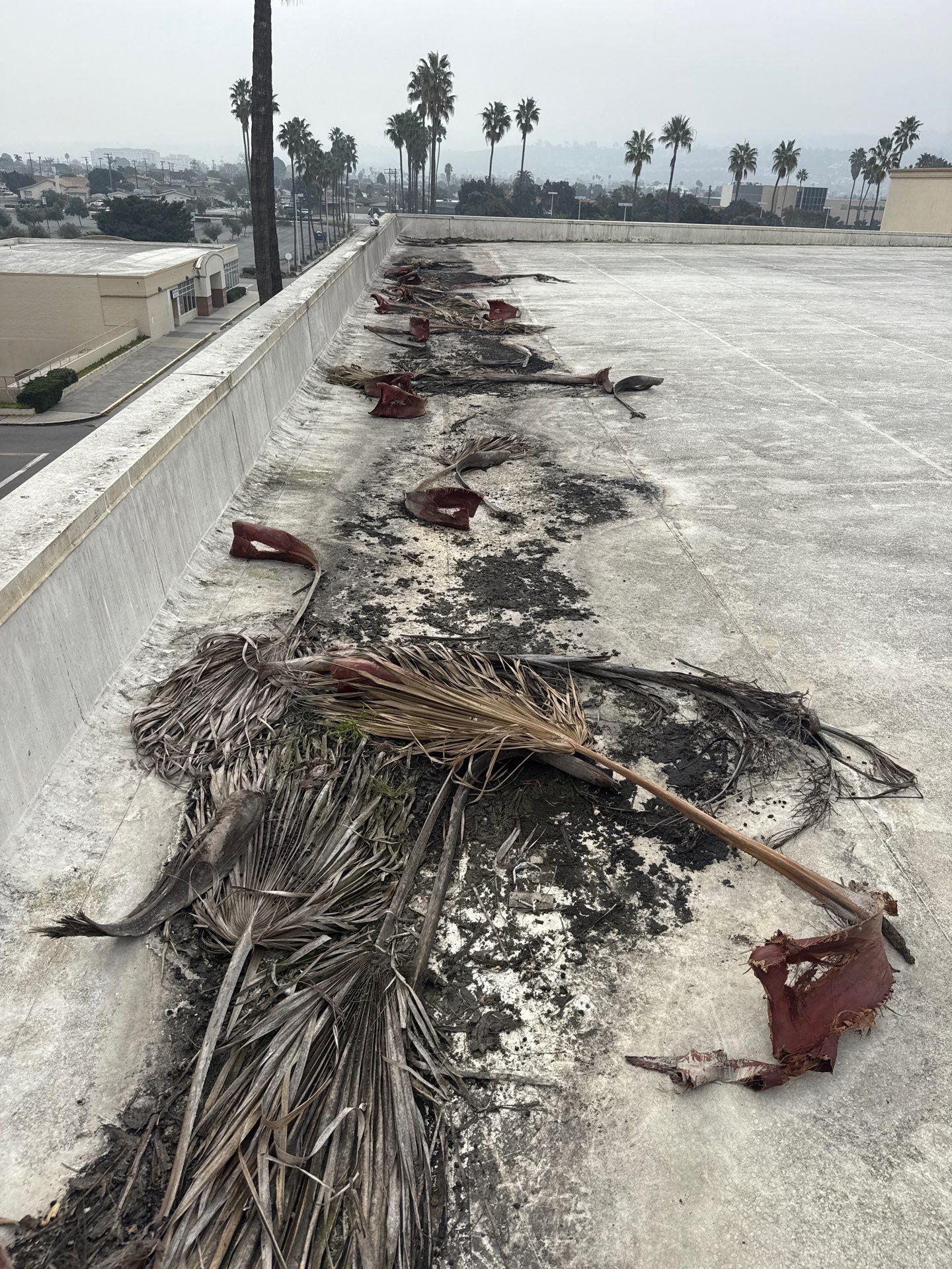 Project in Torrance, California by Sanchez Single Ply Roofing