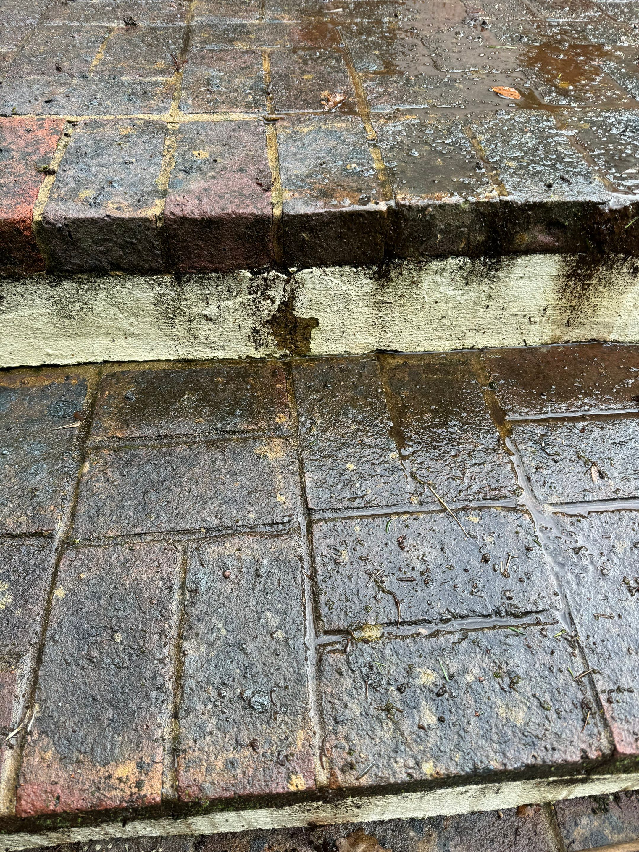 Roof and Patio Cleaning using Honda 15lpm Low Pressure Washing Machine by Ges Exterior Cleaning ltd