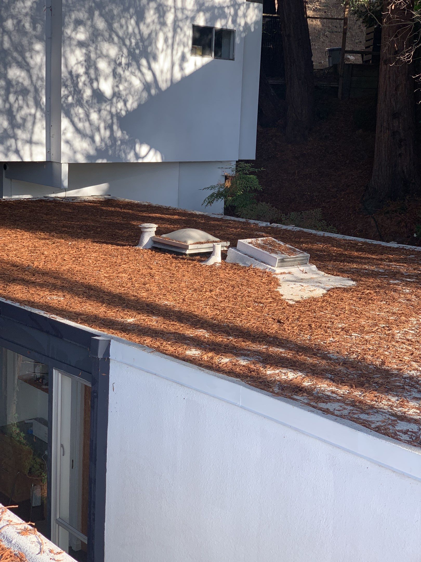 Elise Hurwitz’ Window Clean by SpotFree Window Cleaning