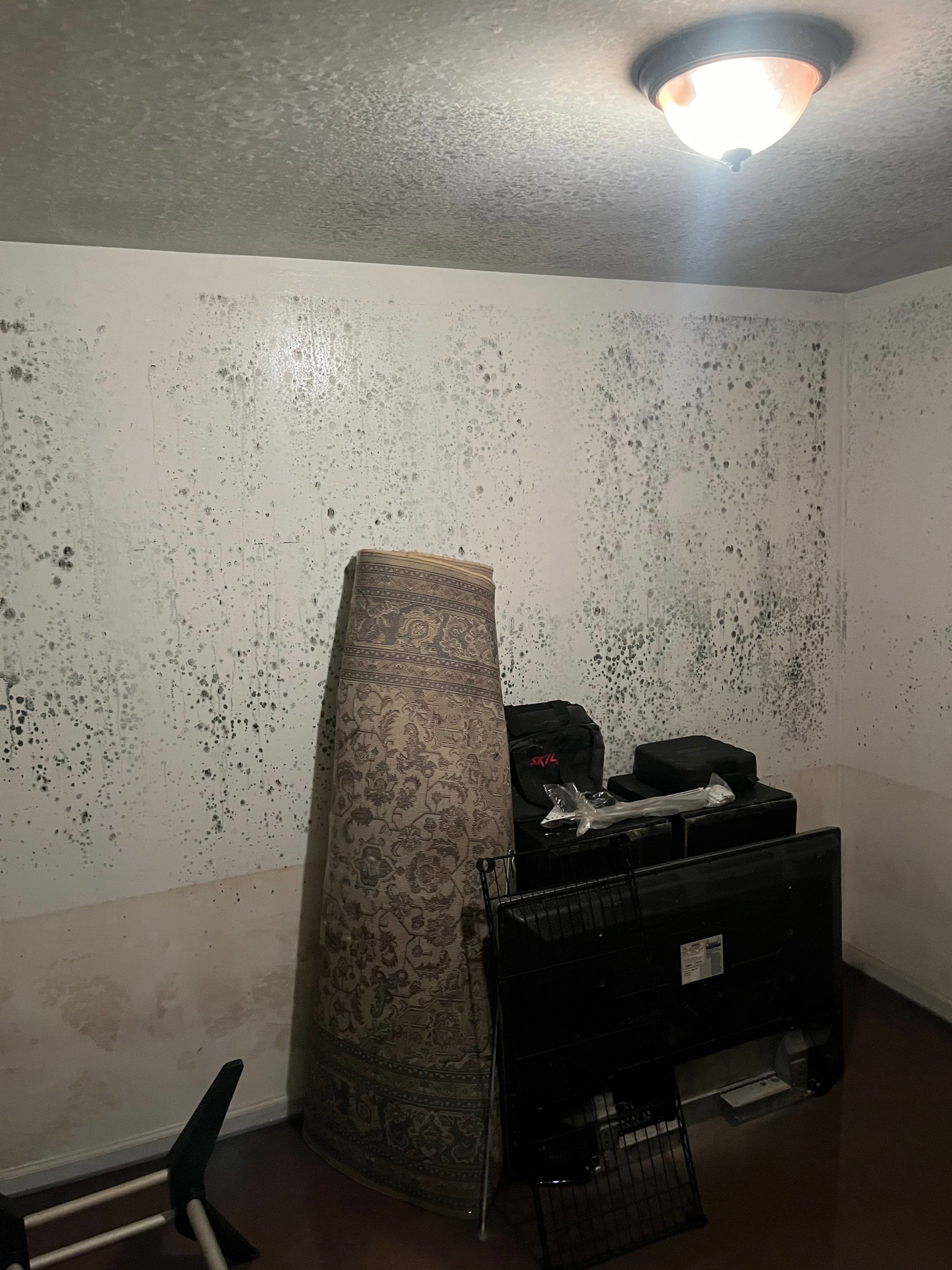 EMS Water Damage and Mold Remediation in Louisville, KY by ANR Restoration