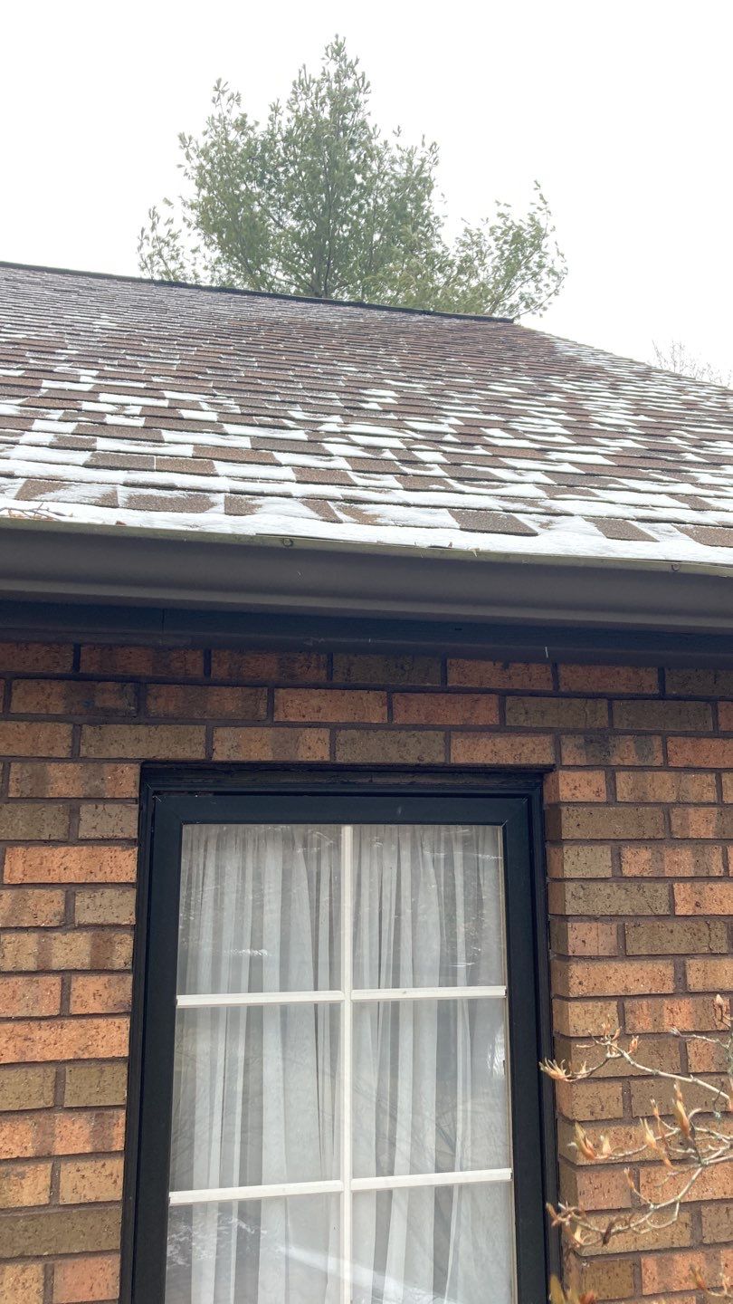 New Siding using James Hardie Siding  by Absolute Roofing and Construction