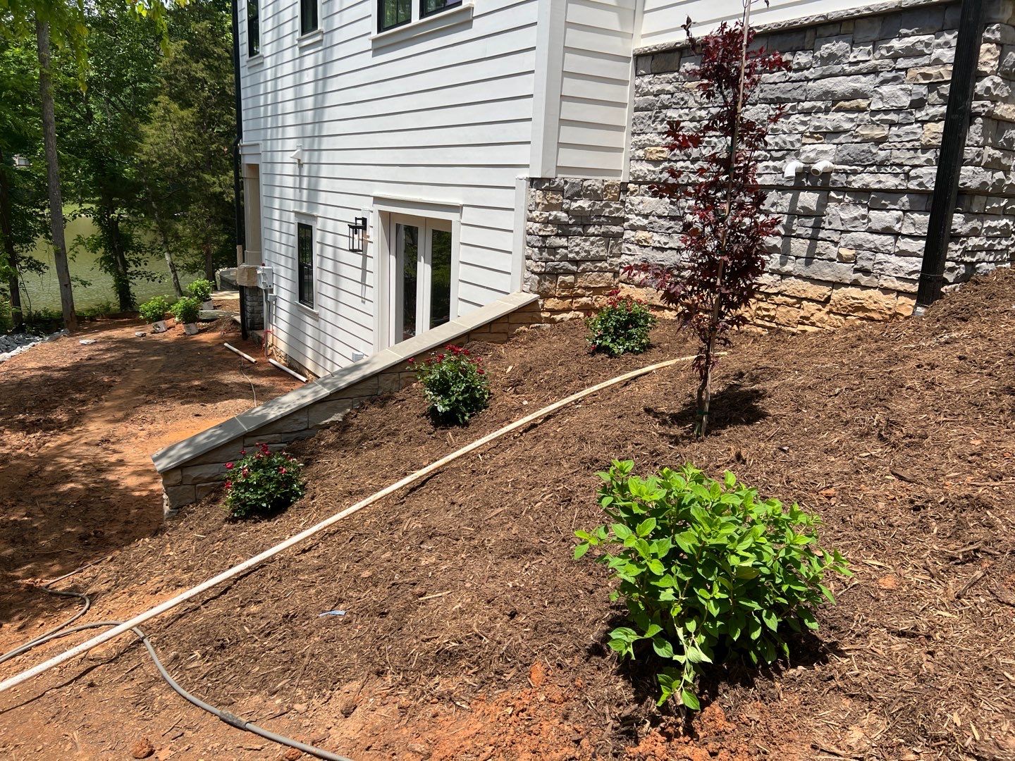 New Construction in Denver by Growing Edge Landscape & Design, Inc.