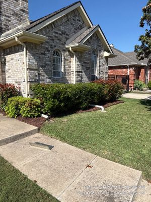 Project in Murphy 