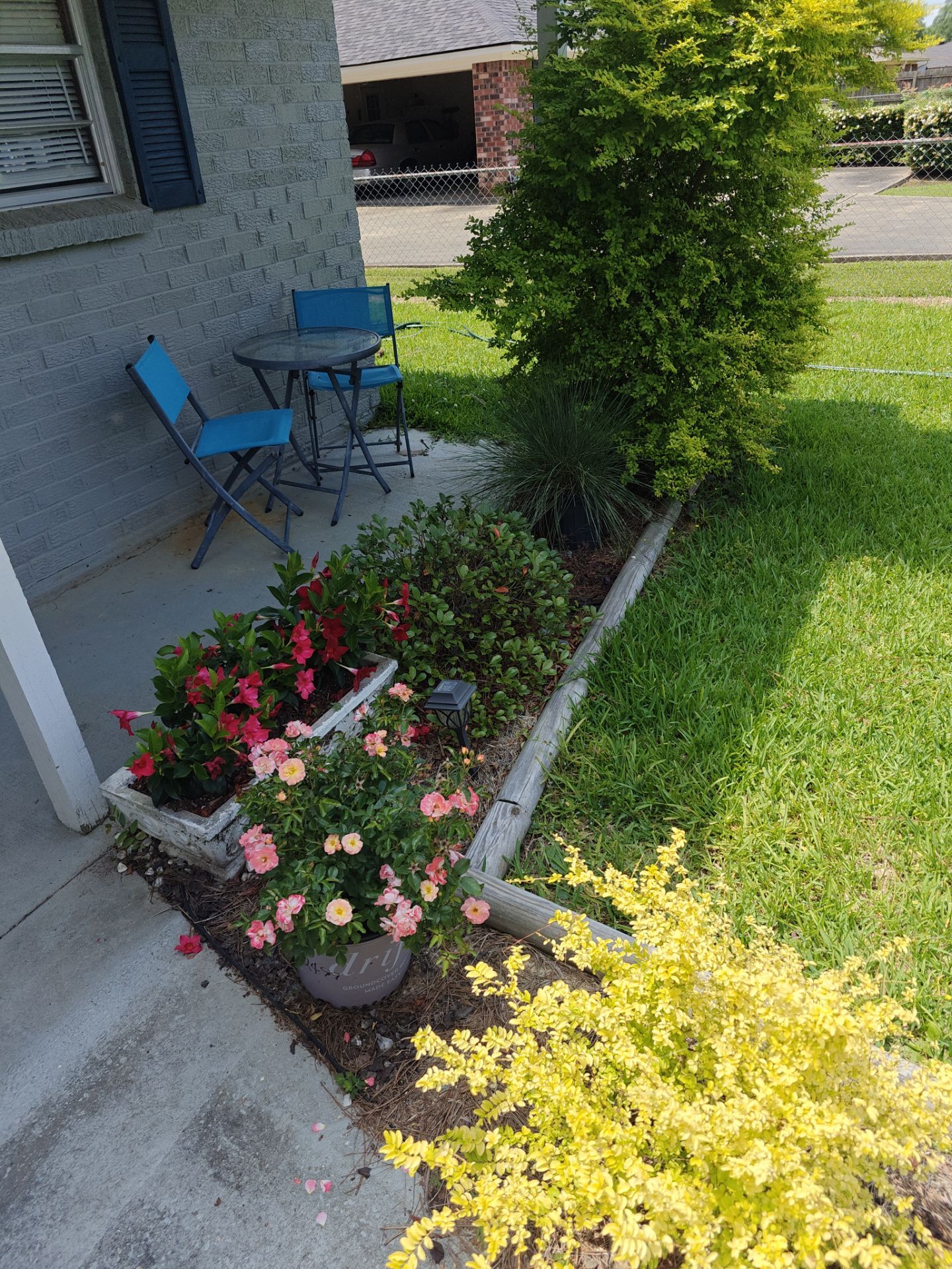 Weekly Landscaping  by College Bros Outdoor services