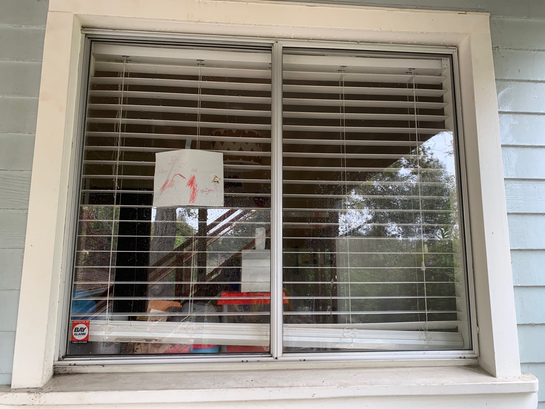 Jordan DiGiorgio by SpotFree Window Cleaning