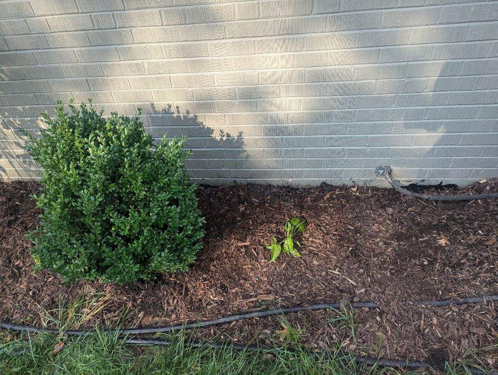 Exterior Foundation Waterproofing by Allied Water Services