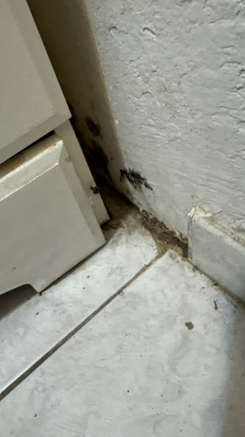 Mold Damage Project in Denver by Accountable Home Services