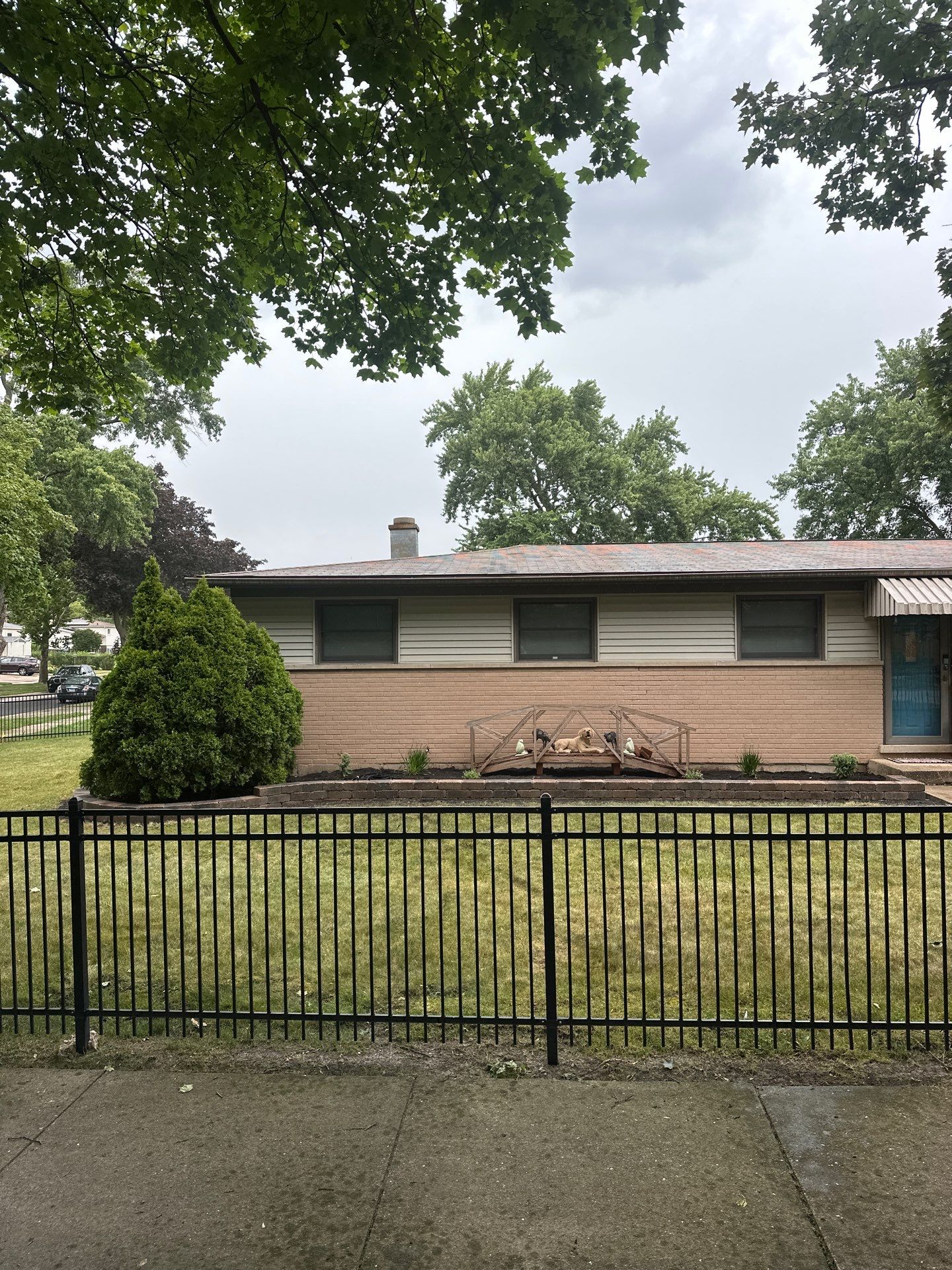 John S. - Des Plaines, IL by A&N 