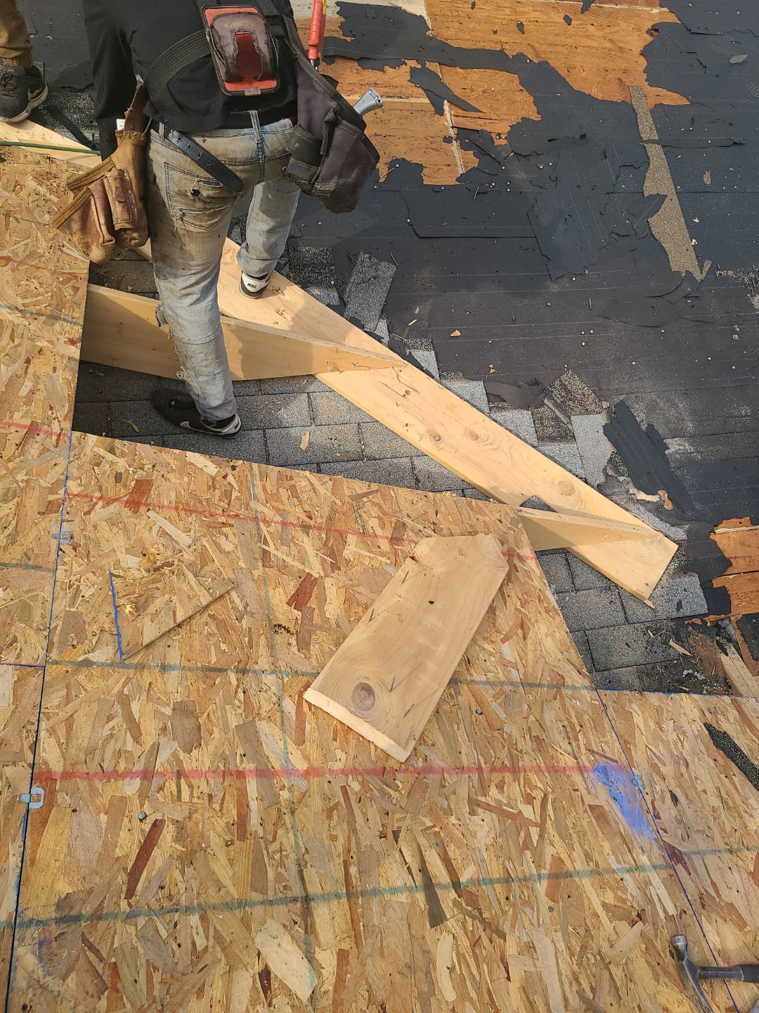 Arlington CertainTeed Landmark Pro Roof in Max Def Moire Black by RM Banning, Inc.