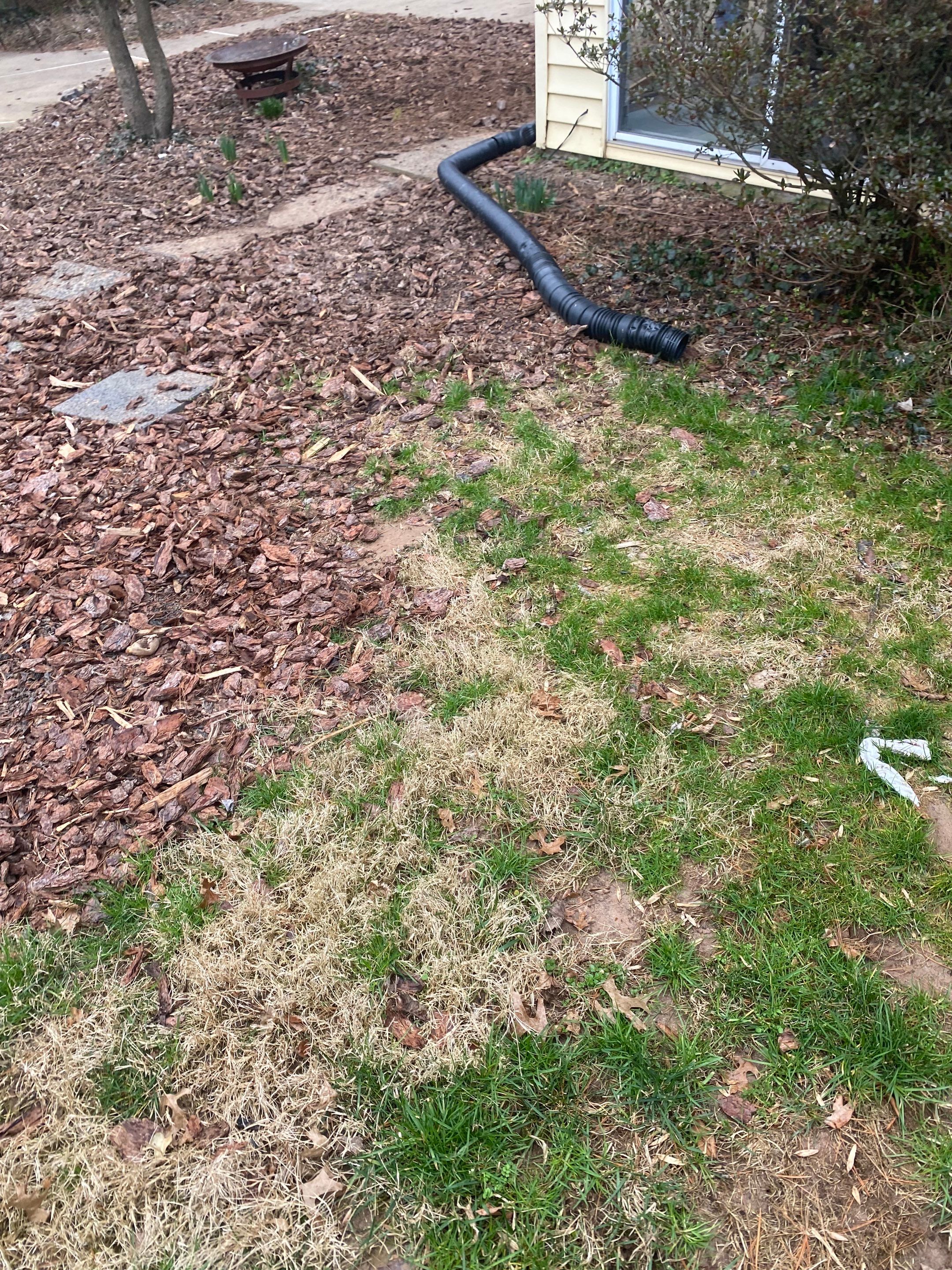 Landscape cleanup & drainage by The Smet Companies, LLC
