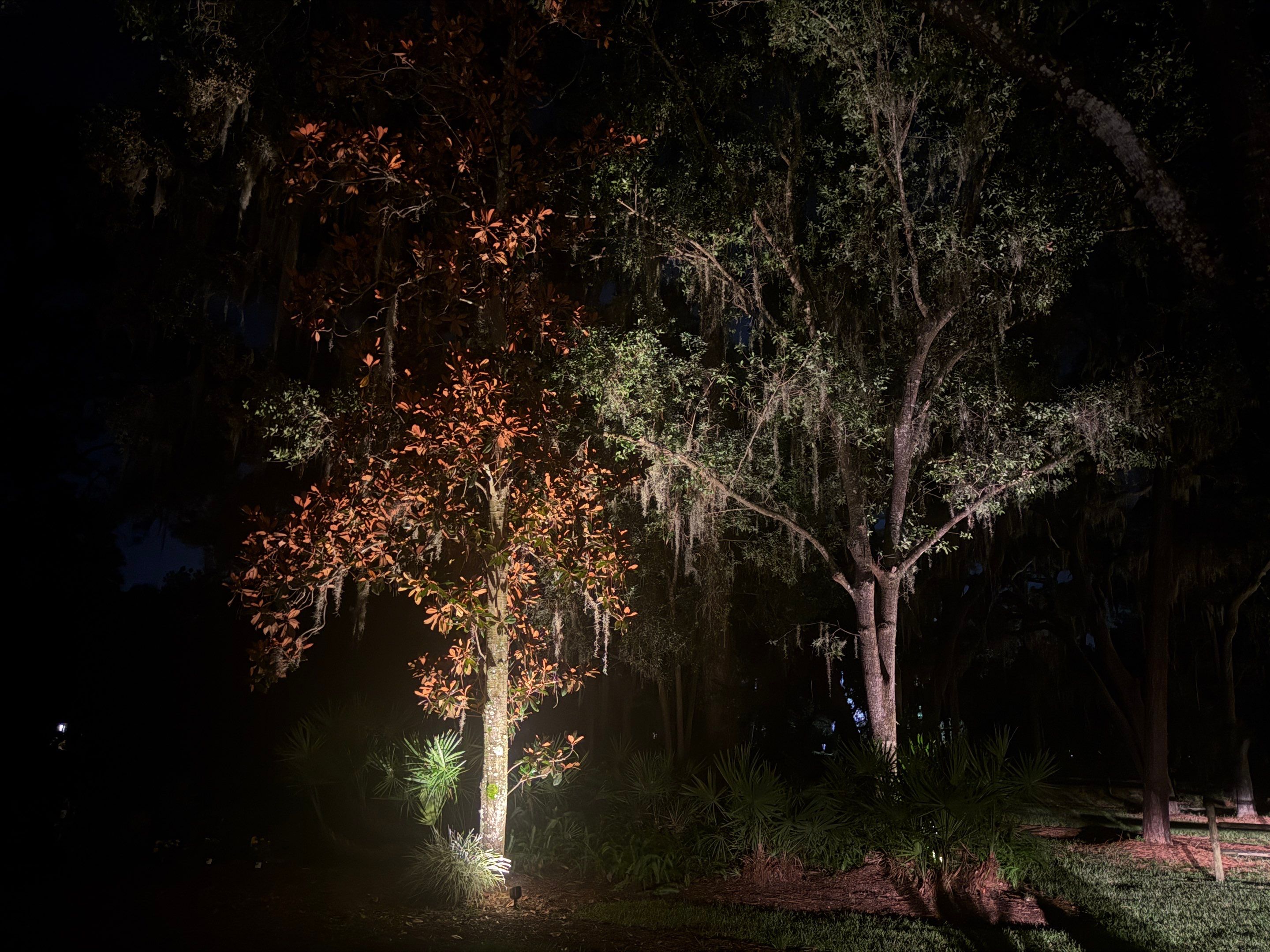 Custom Residential Landscape and Tree Uplighting Project in Odessa by Elegant Accents 