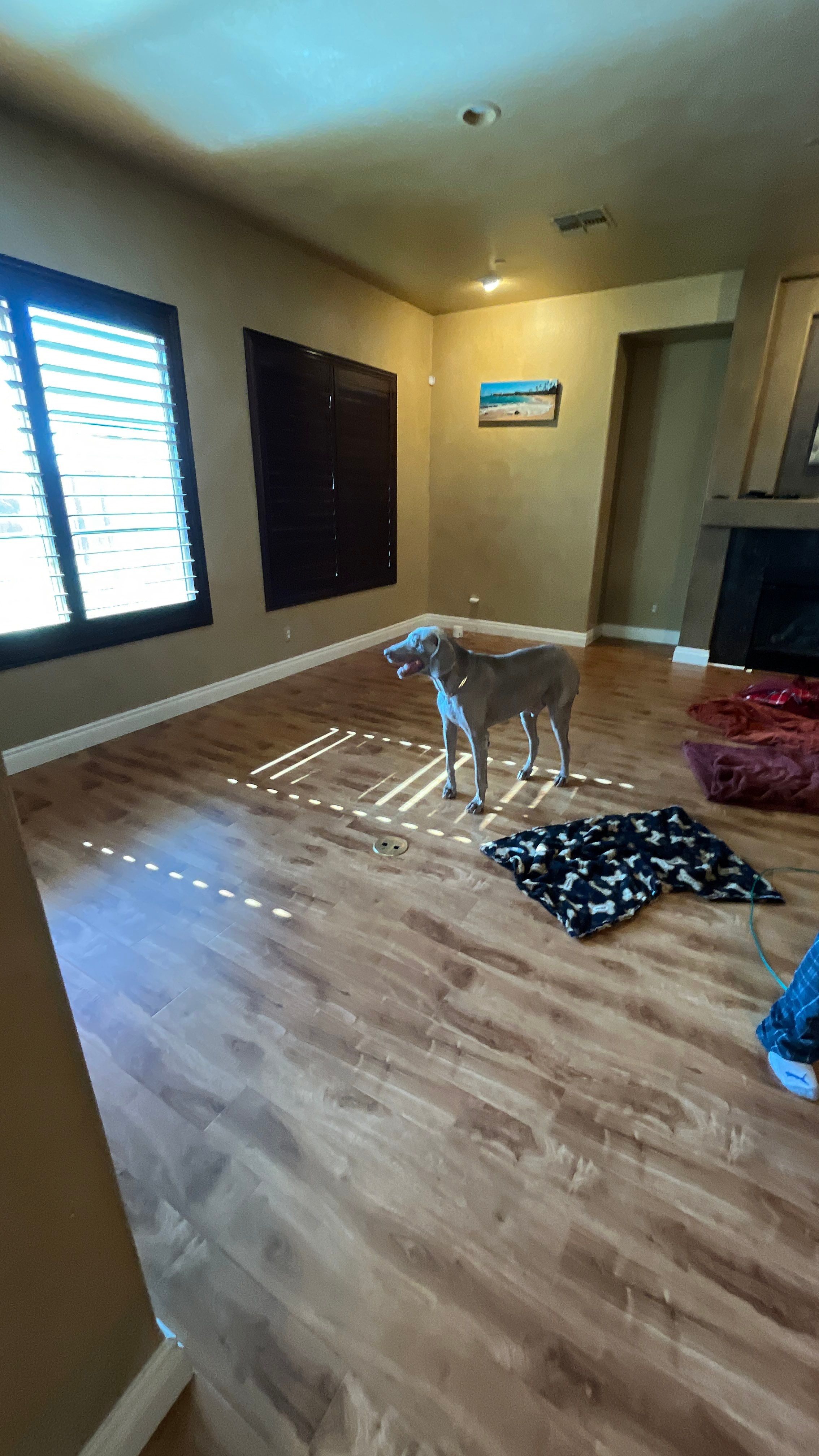 Flooring Installation using Luxury Vinyl Plank by Footprints Floors of Chandler 