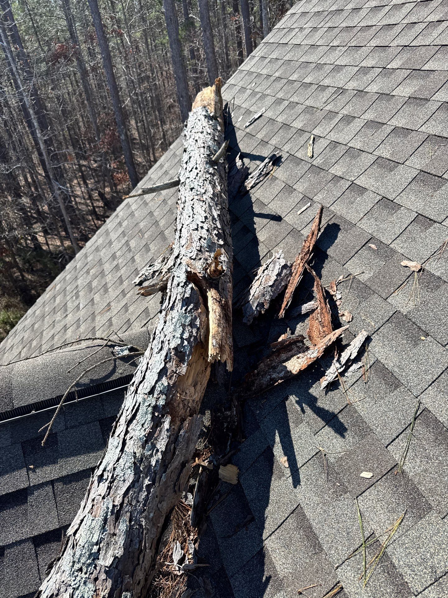 Emergency Roof Tarping โ๏ธ๐ by Georgia Roof Advisors