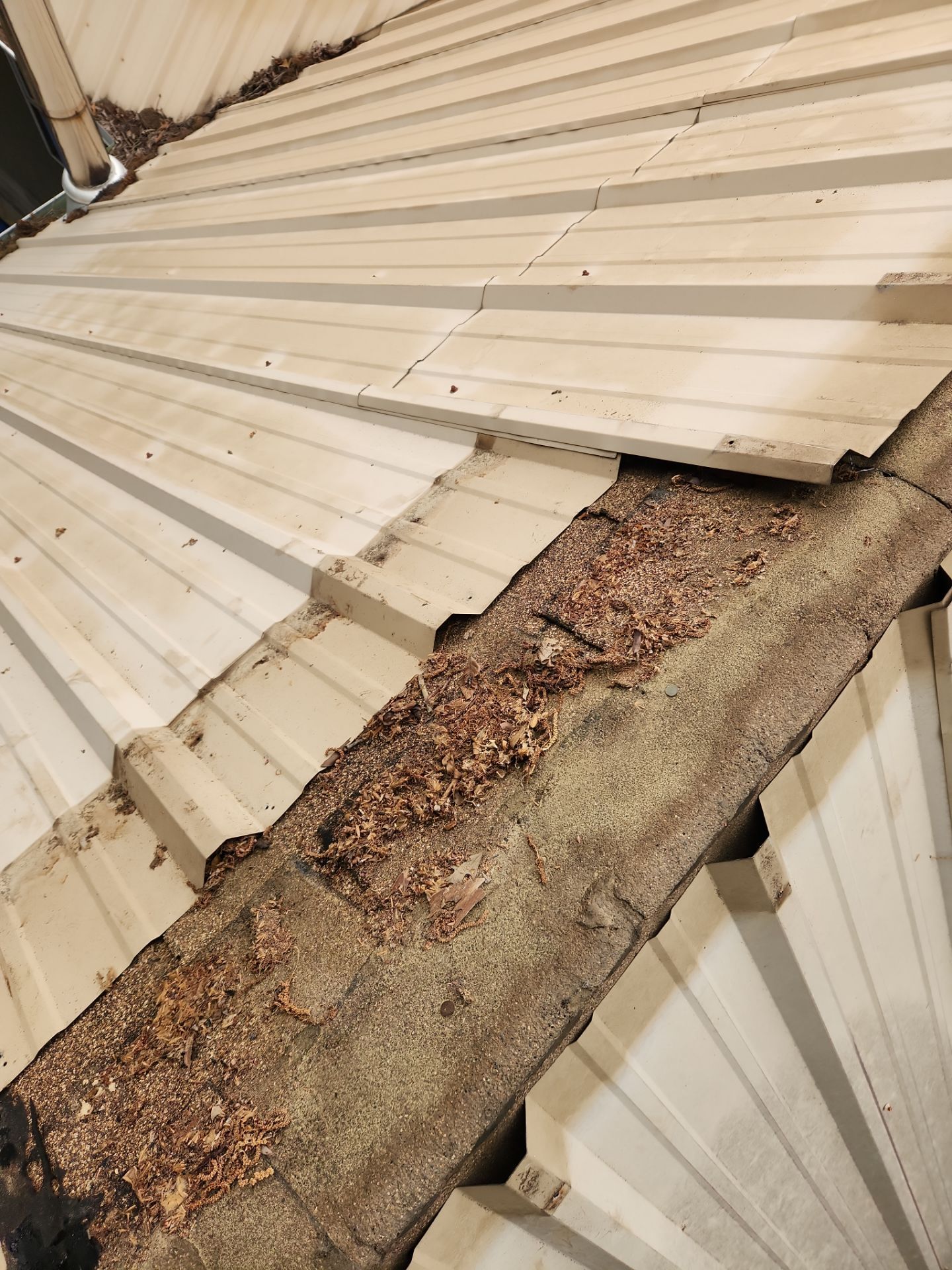 Roof Replacement in Cottondale (Light Stone) by The Roofing Dudes