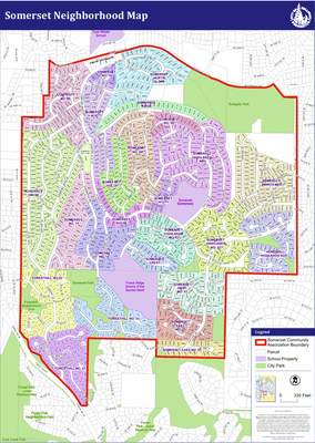 Bellevue Arborist Letter