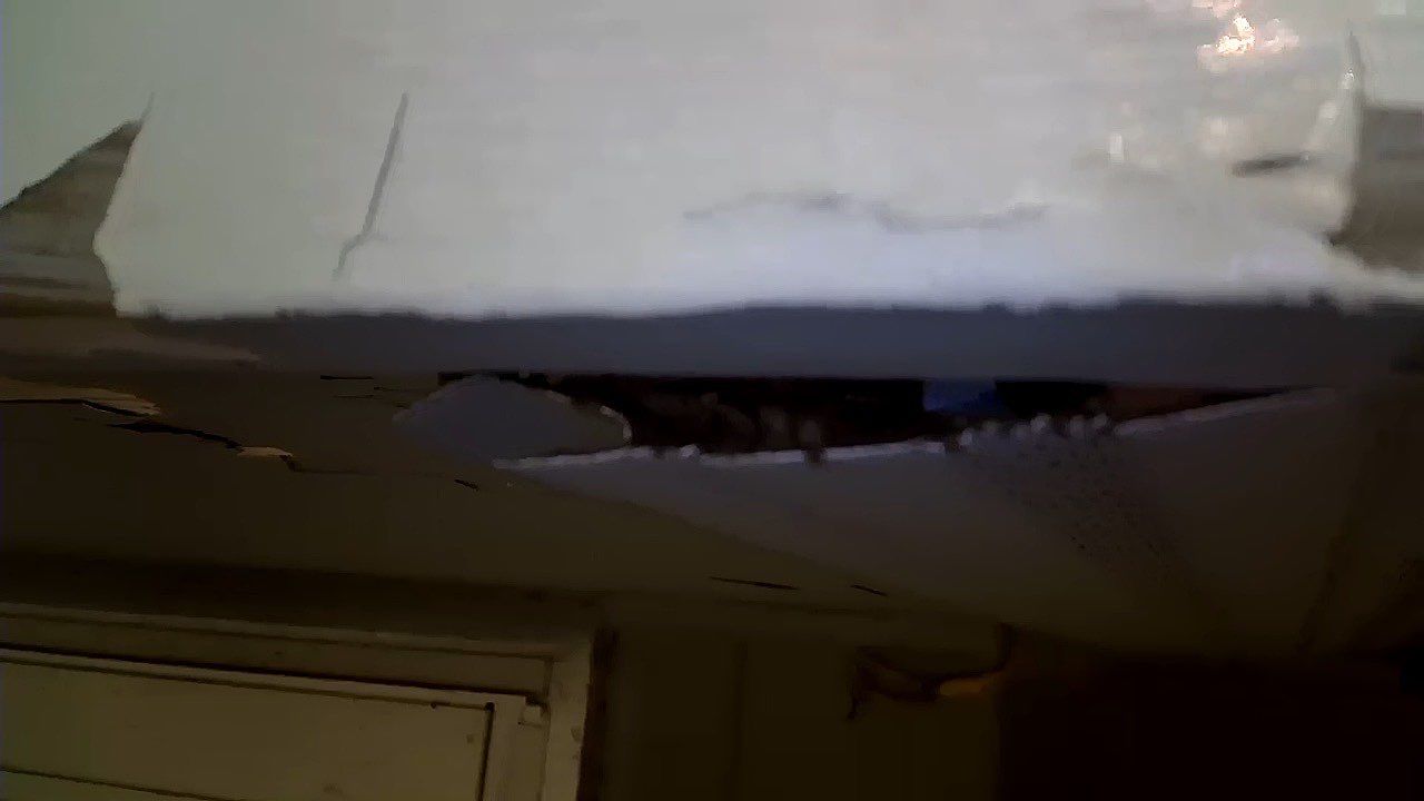 Soffit- End Squirrel entry by Abra Kadabra Pest And Wildlife 