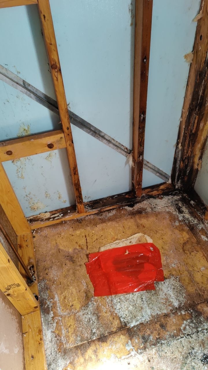 Water Damage and Mold Remediation by Accountable Home Services