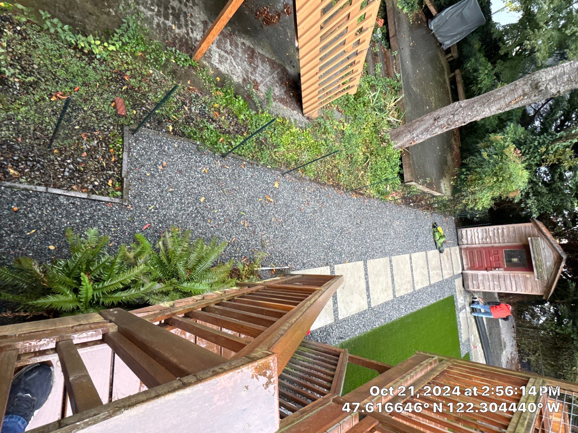 Turf Installation, Retaining Wall & Concrete Walkway | Seattle  by Jireh Asphalt & Concrete Inc 