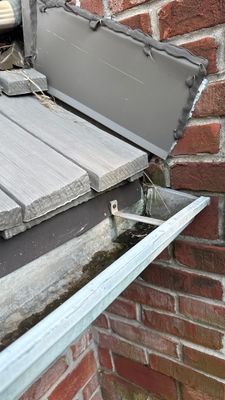 Turtle Shell gutter protection installation in Naperville, IL 60565, photograph 3