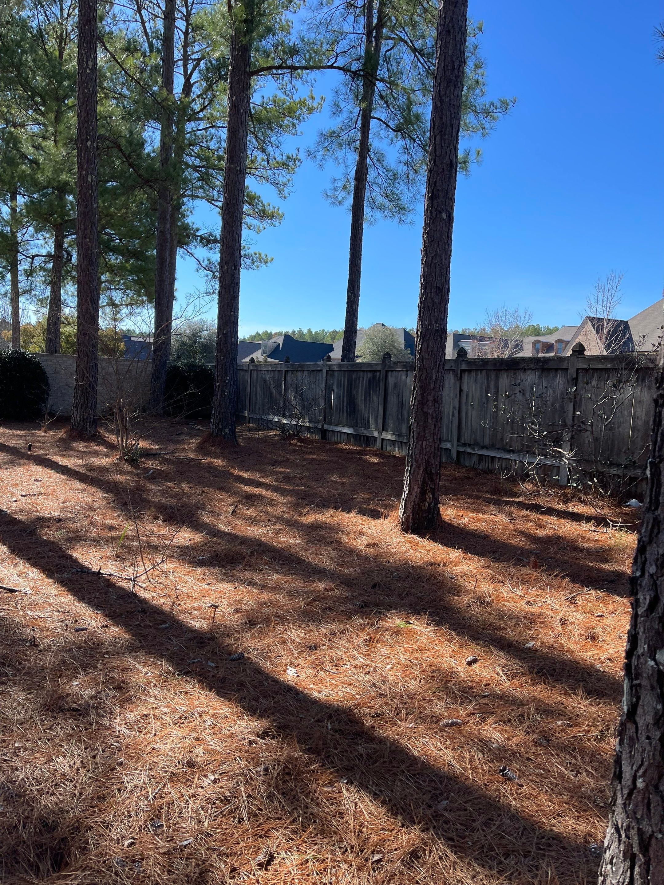 6ft Treated Pine Good Neighbor Fence French Gothic Posts by Roberson Construction LLC