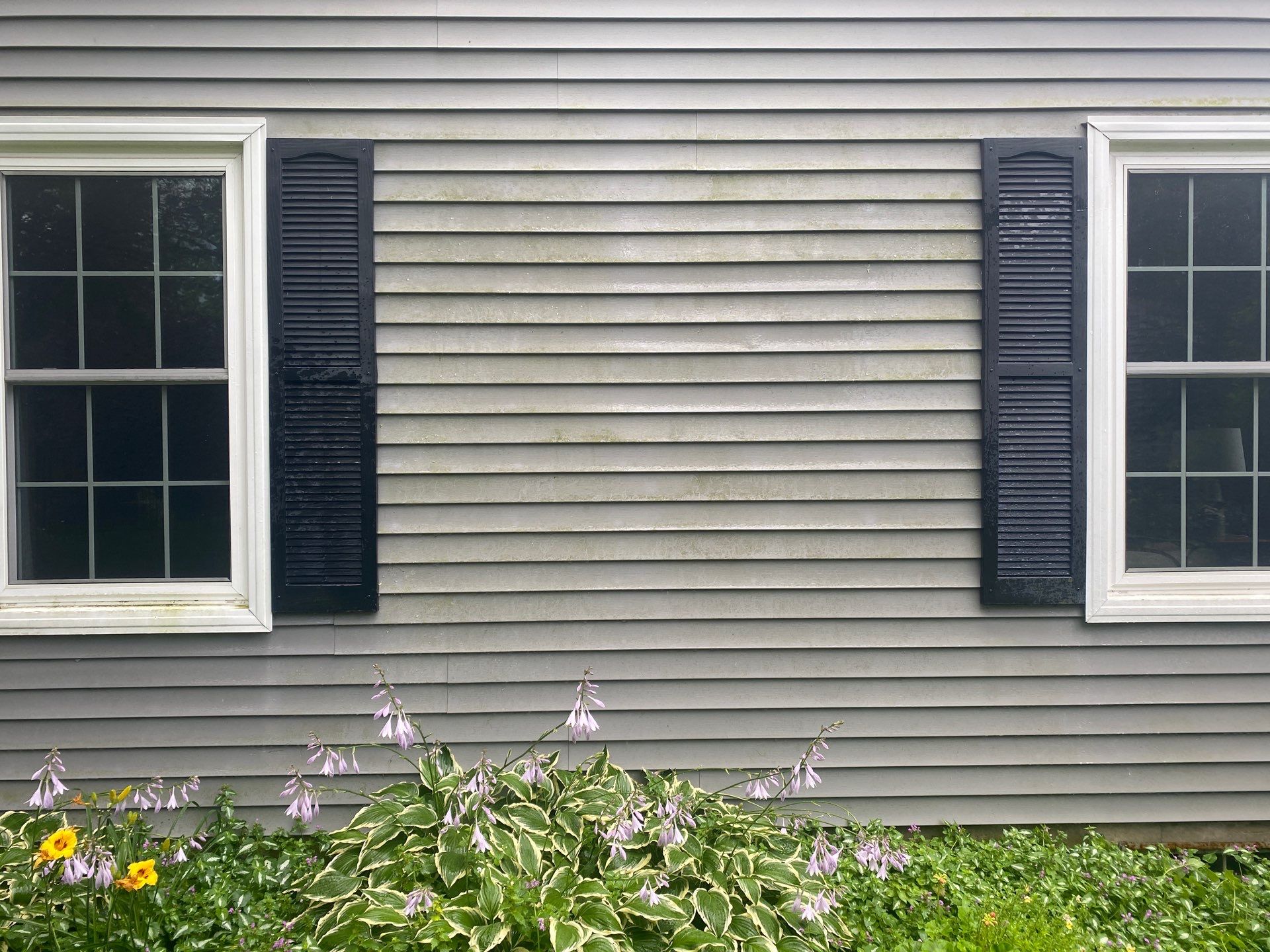 House wash and concrete cleaning by Shulla Exterior Cleaning