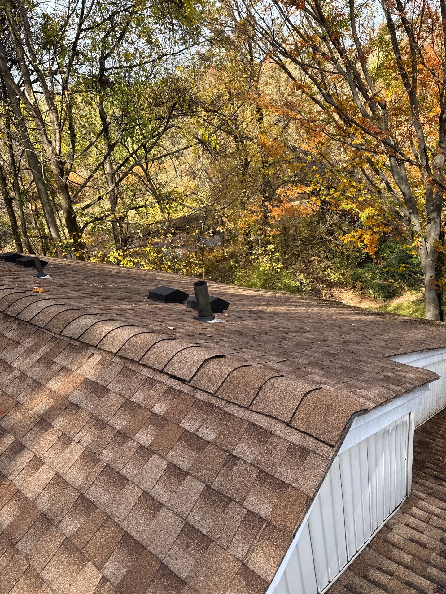 Roof Cleaning in Plainfield, NJ by Clearview Washing
