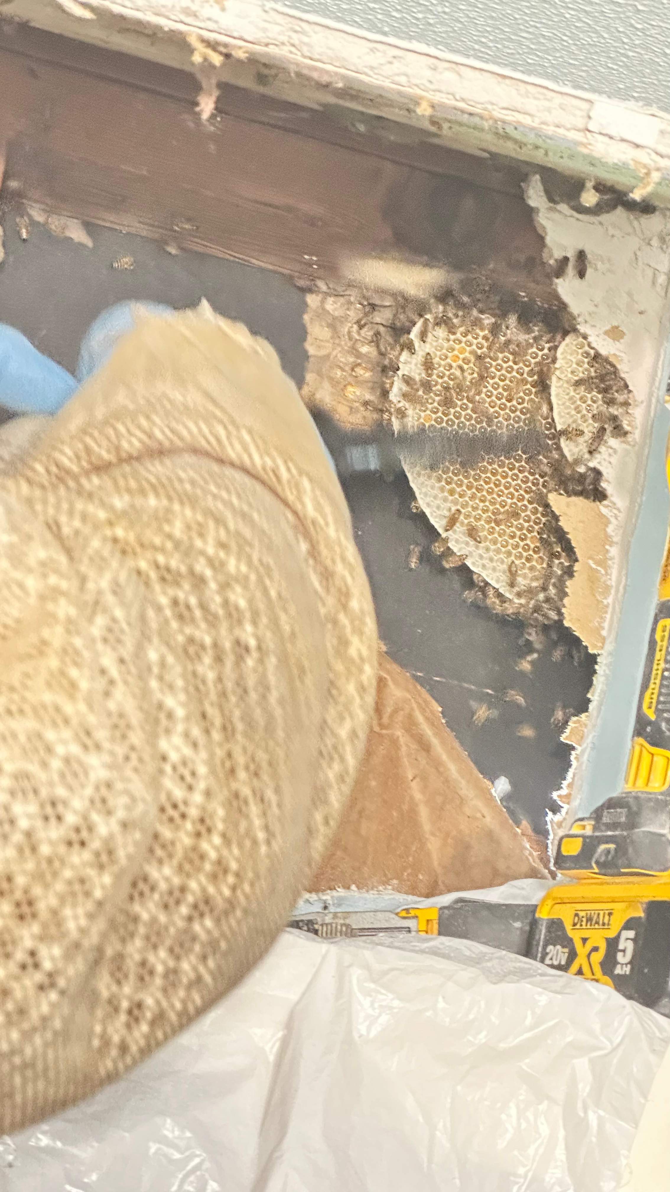 Laundry Room by Rockwall Honey Bee Company