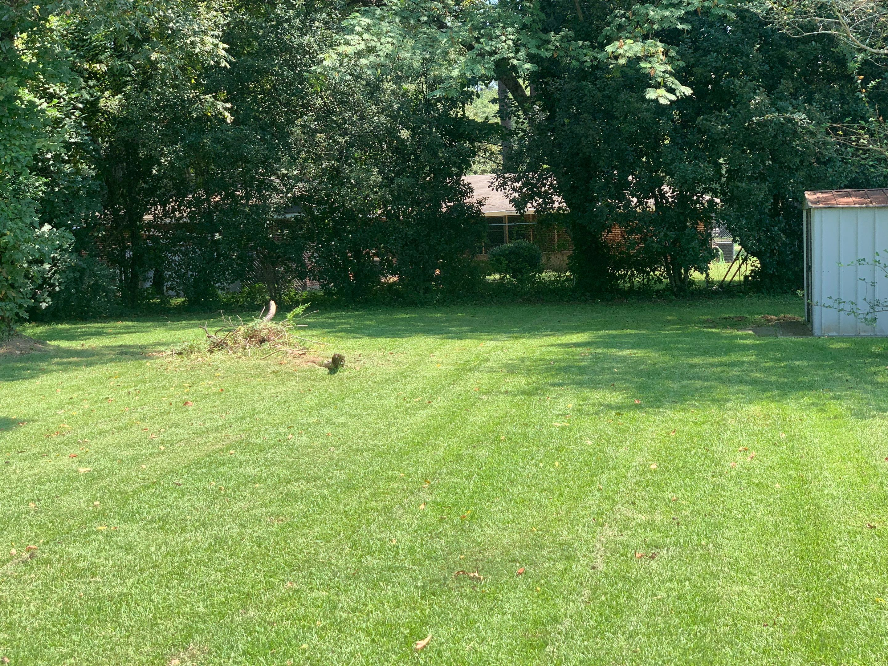 Yard Makeover by College Bros Outdoor services