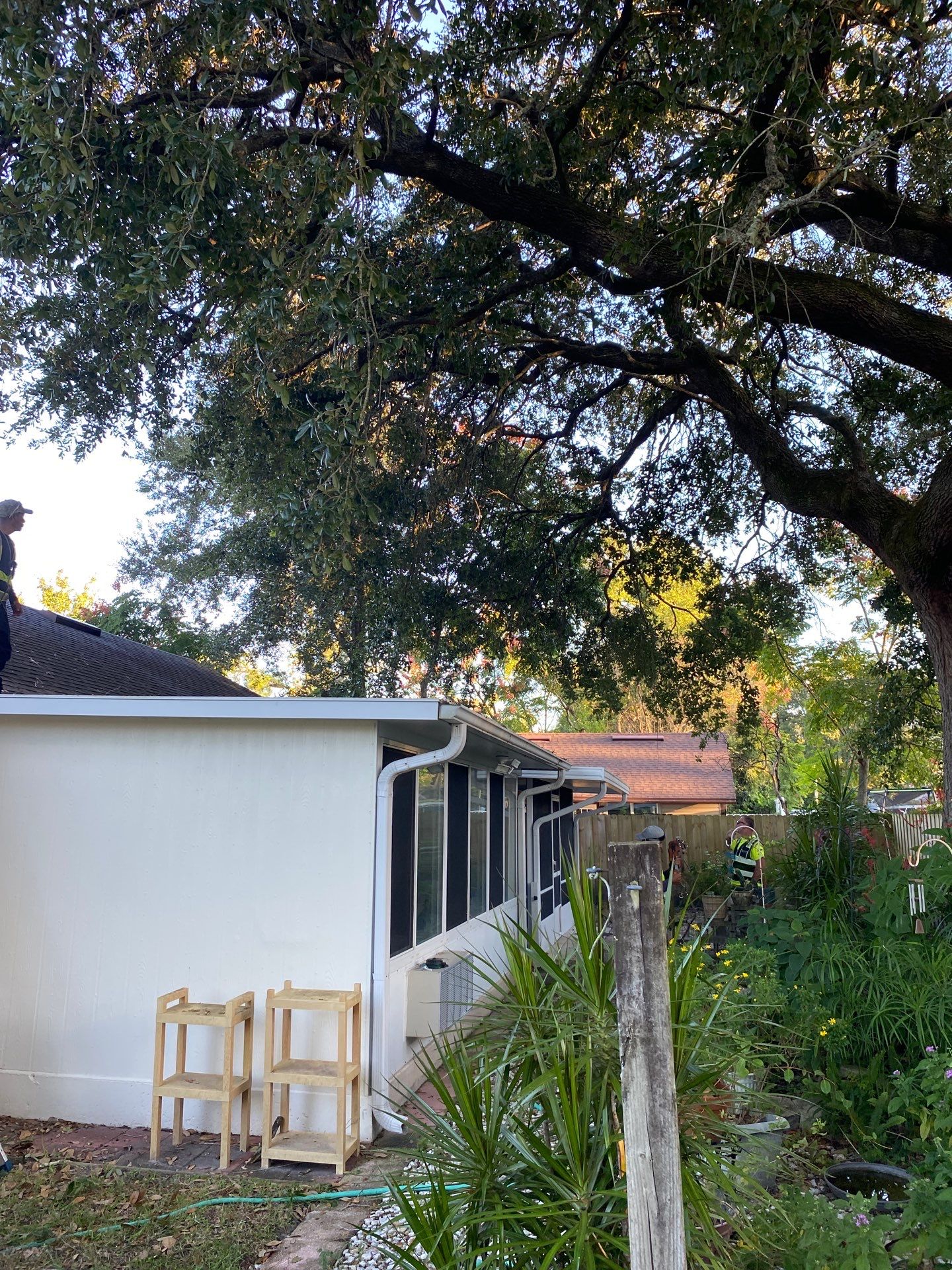 Tree Trimming | Residential by ProGreen Services