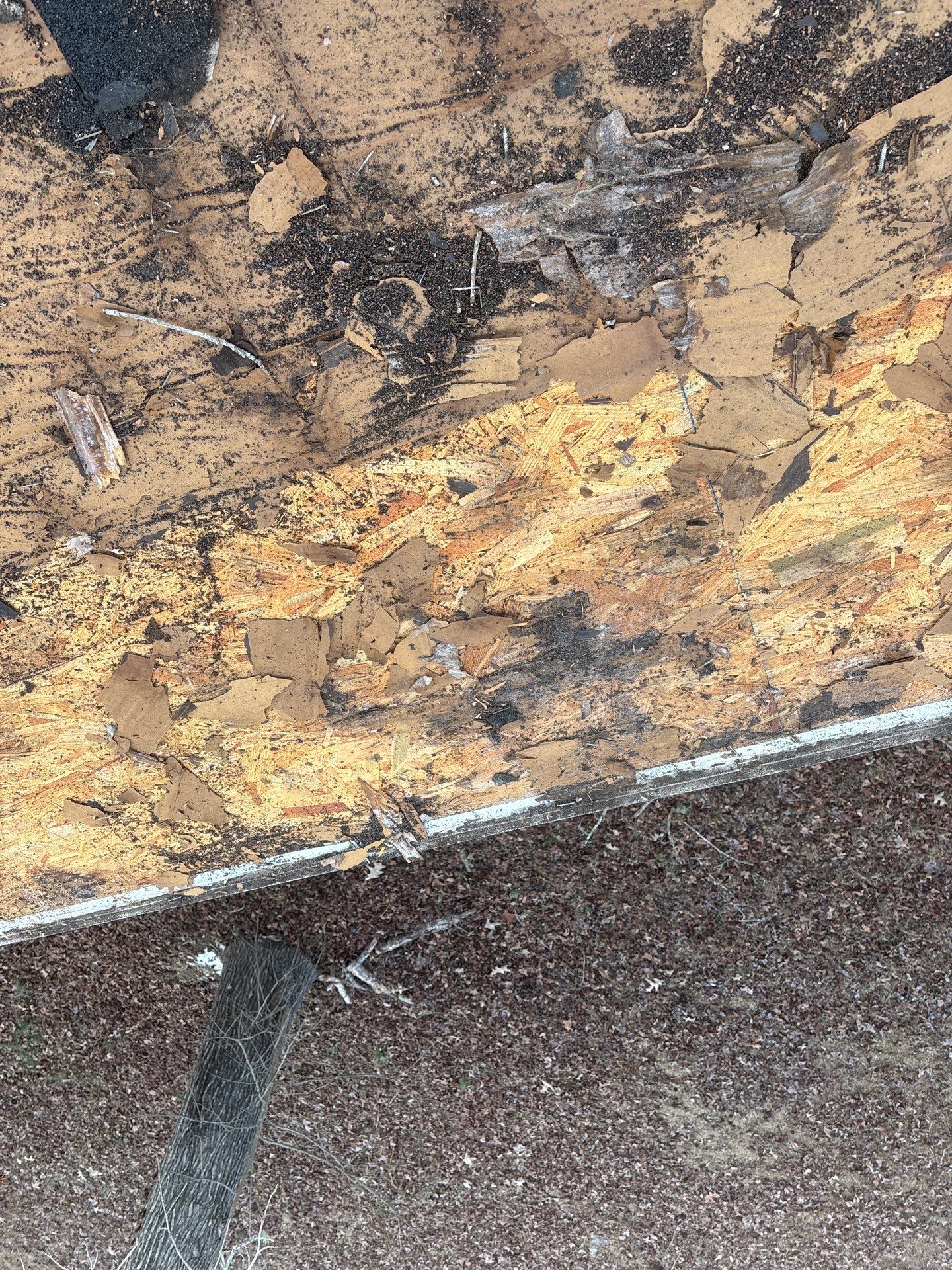 Roof Replacement in Waterloo, SC | New CertainTeed XT 25 Nickel Gray Shingles by Roofers LLC