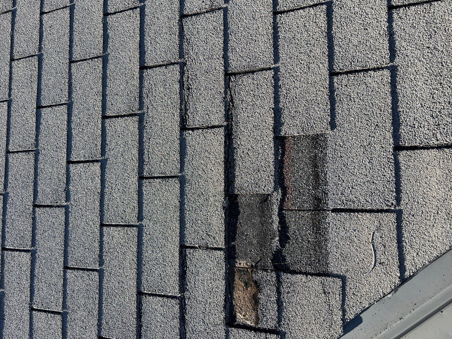 Nick & Rhonda's Full Re-Roof by All Storm Roofing & Construction